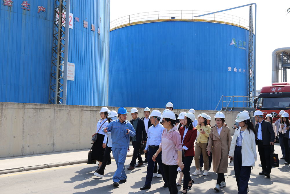 深化产融协同 赋能产业升级——上期大学堂走进新材料集团权属单位开展专题培训活动